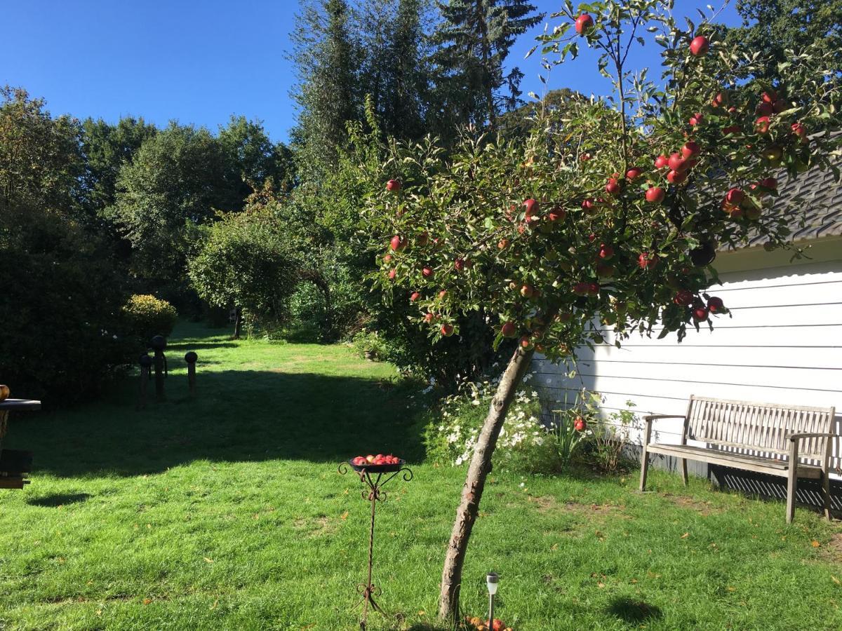 Natuurhuisje Heerlijkheid Beek Berg en Dal Kültér fotó